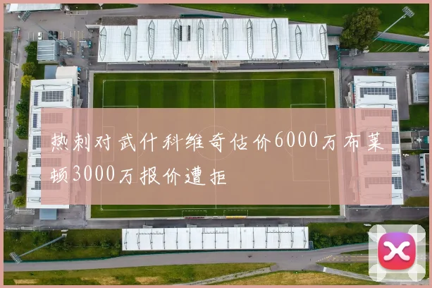 热刺对武什科维奇估价6000万布莱顿3000万报价遭拒