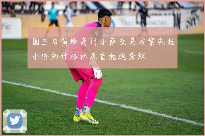 国王与黄蜂商讨小萨交易方案包括小桥约什格林及首轮选秀权